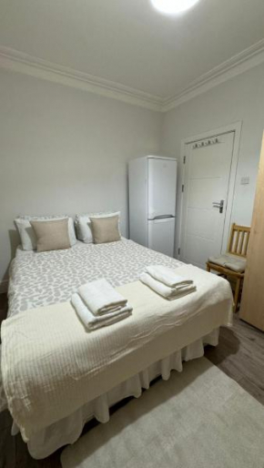 Spacious Double Room in Greater London